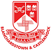 St Brigid's GAA