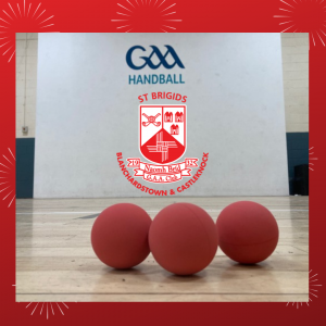 Fingal Sports - Women in Sport Week - Try Handball